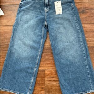 Zara Women's Cropped Wide-Leg Jean